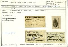 Karteikarte zum Syntyp von Frondicularia felis Karrer, 1870